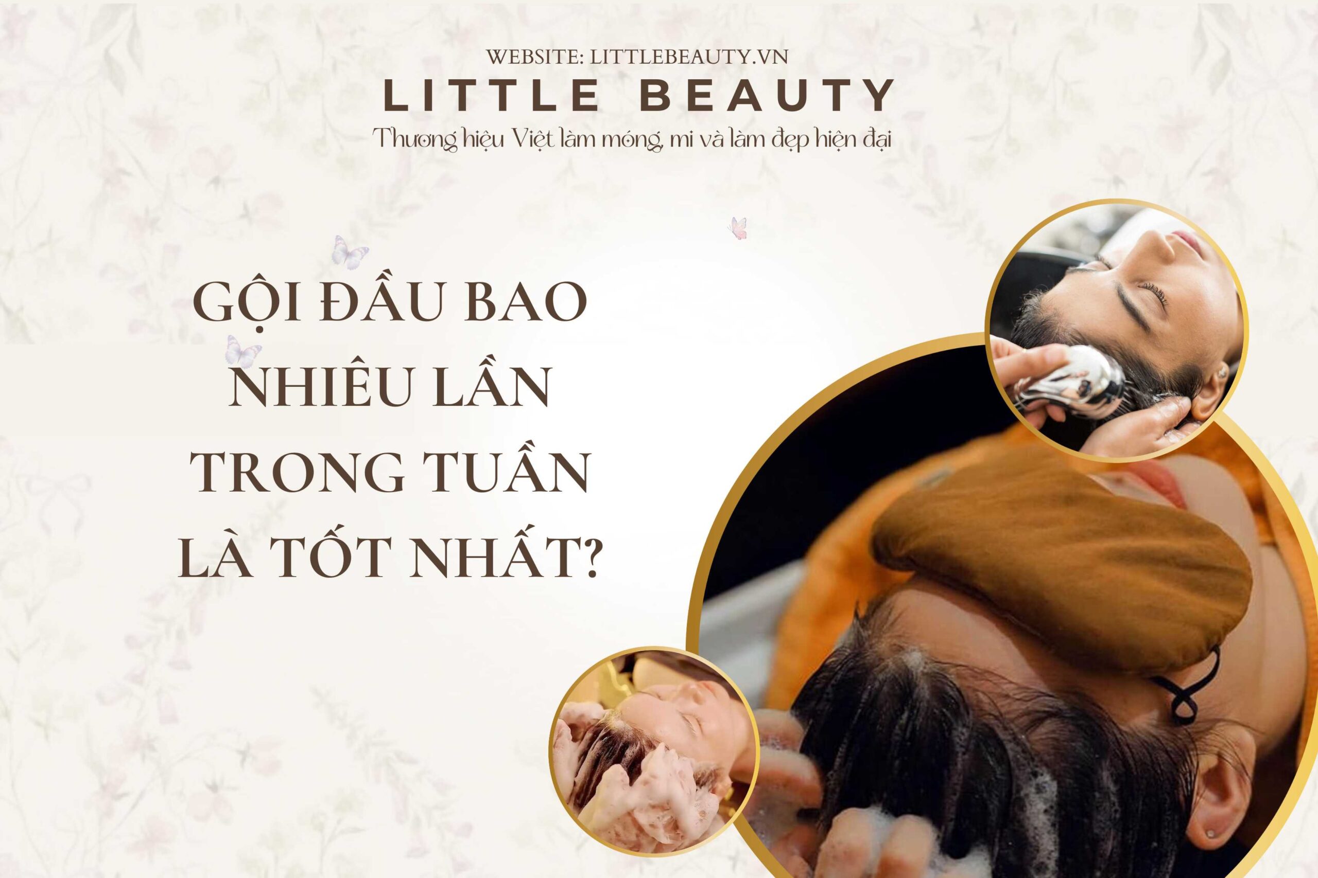 Gội đầu bao nhiêu lần trong tuần là tốt nhất Bí quyết từ Little Beauty